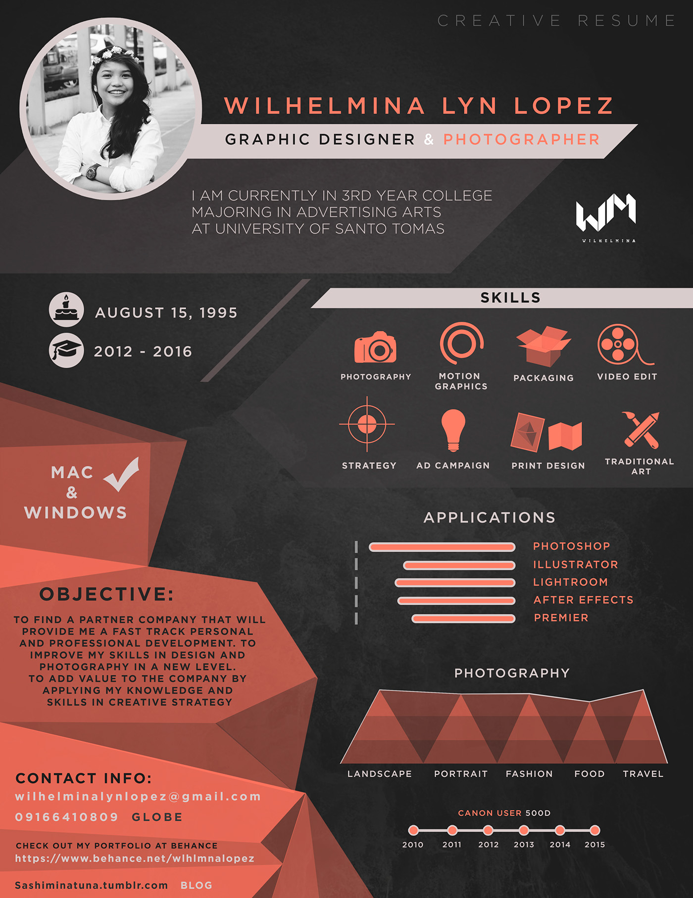 Elevate Your Job Applications with Cool Resumes Graphic Design
