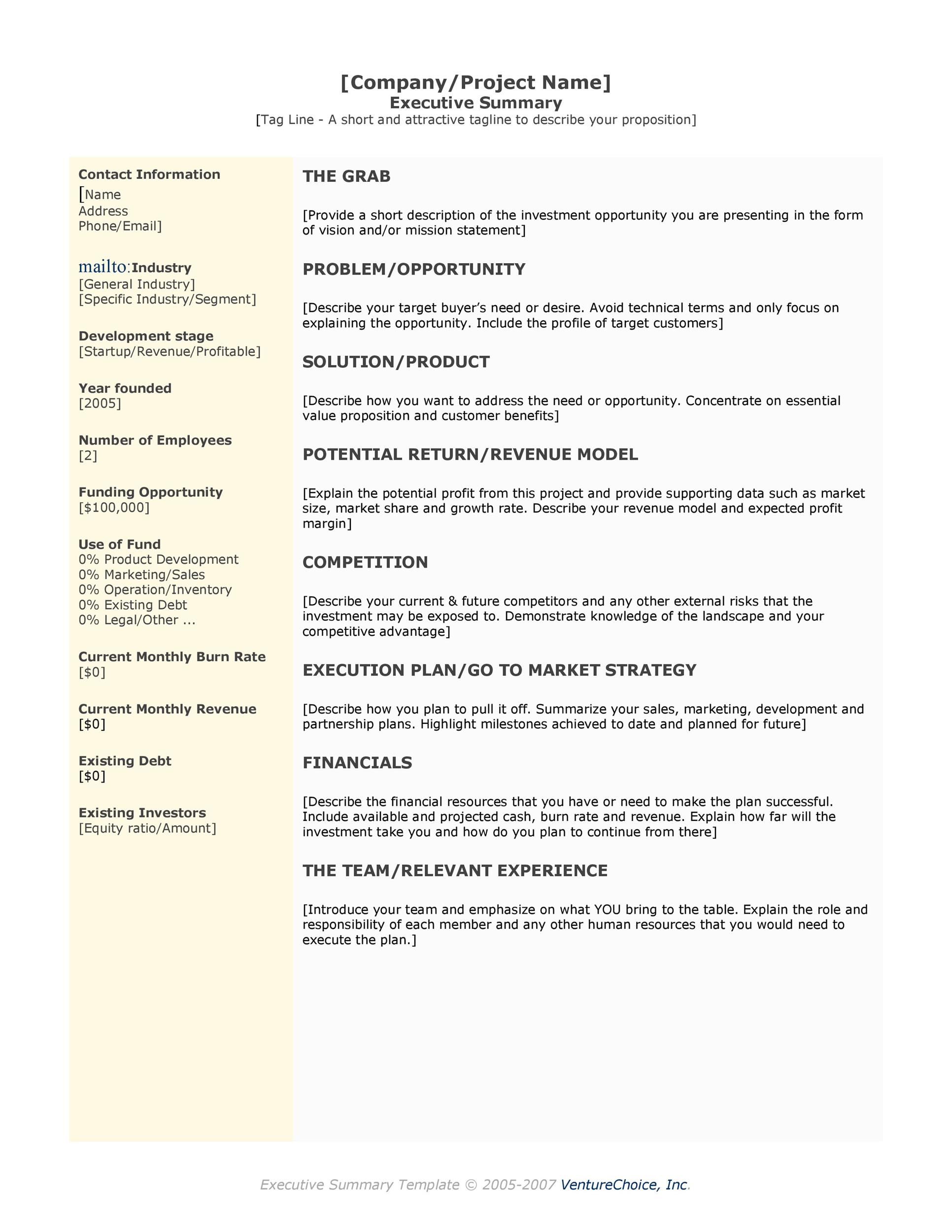 Crafting Your Future: A Guide to the Executive Summary For Resume Template