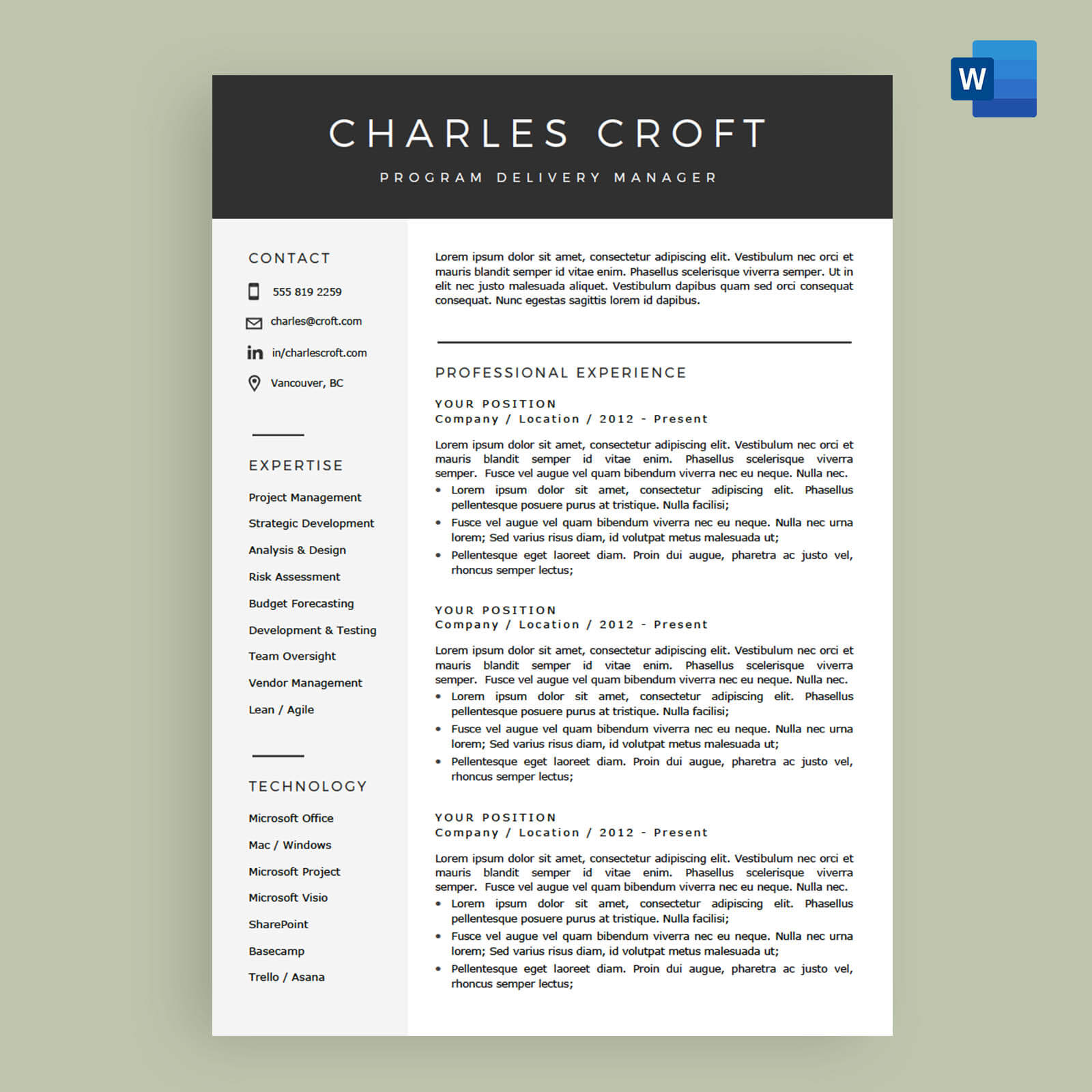 Boost Your Job Hunt with Free Sales Resume Templates Microsoft Word