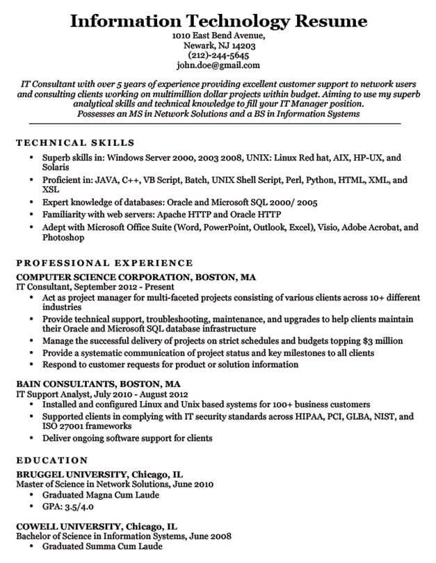Crafting Your Career: A Functional Resume Example Information Technology