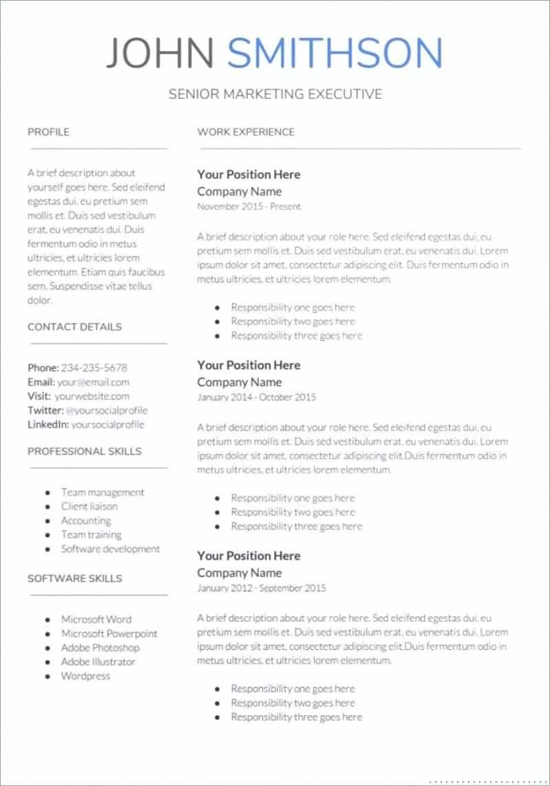 Maximize Your Job Search with Our Functional Resume Template Google Docs