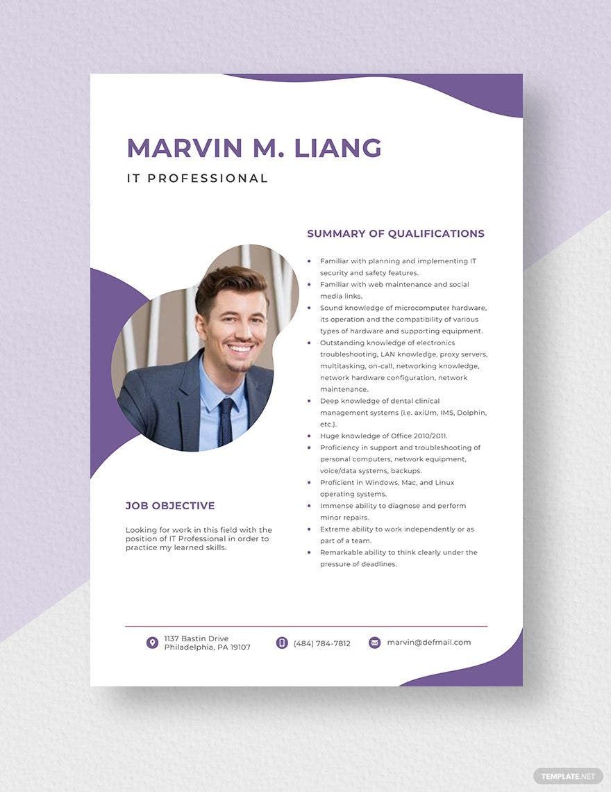 Enhance Your Job Search with IT Professional Resume Templates Download