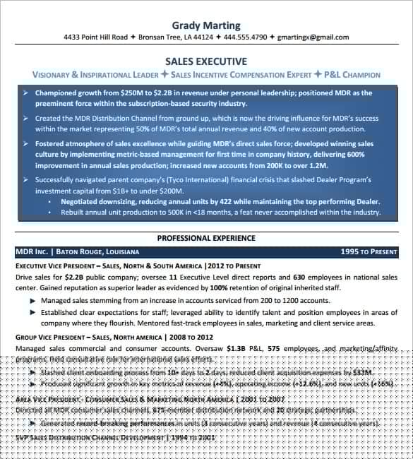Elevate Your Career: The Ultimate Guide to Microsoft Word Executive Resume Templates