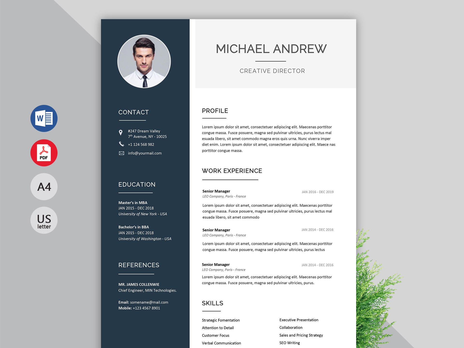 Elevate Your Job Search with Exciting New Resume Templates For Word