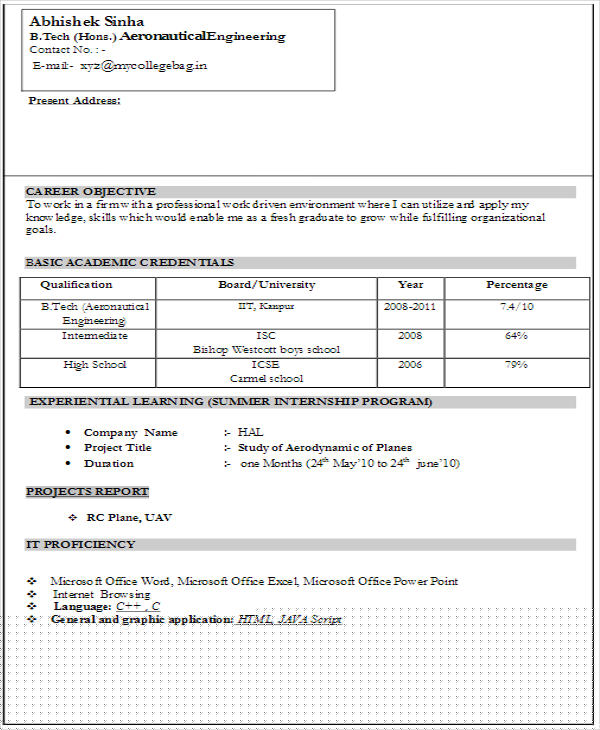 Crafting Success: A Guide to Professional Resume Format For Engineering Freshers