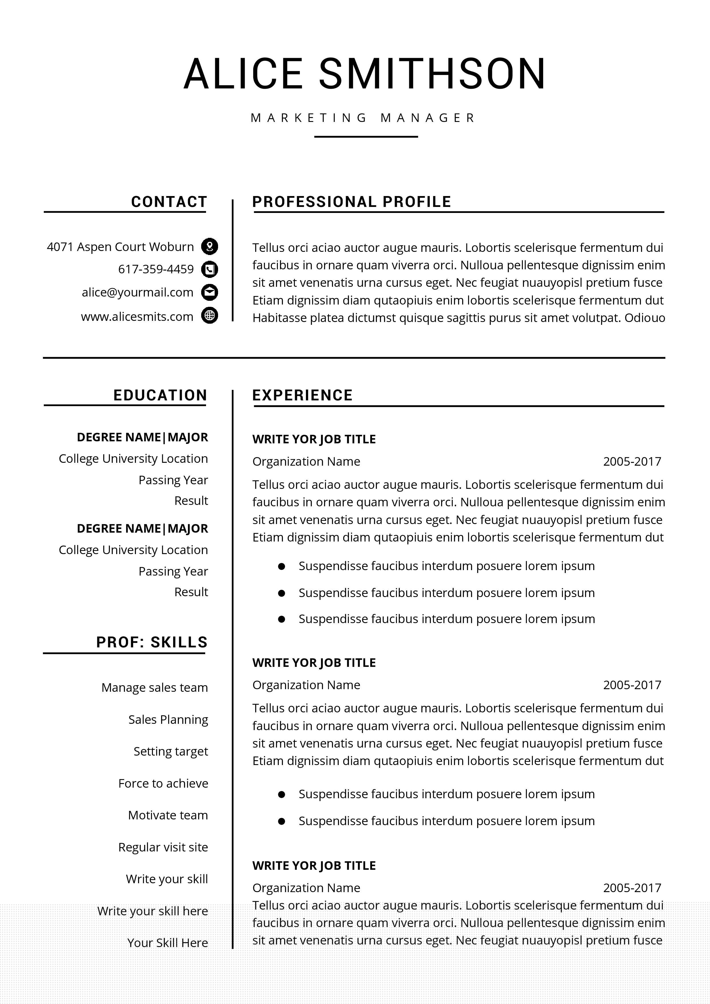 Top 10 Professional Resume Templates Examples to Enhance Your Job Application