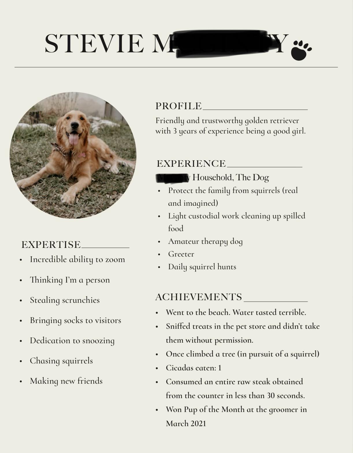 The Ultimate Guide to Crafting the Perfect Reddit Dog Resume