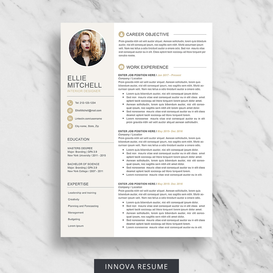 Unlocking Your Career Potential: Top Trends in Resume Design Etsy