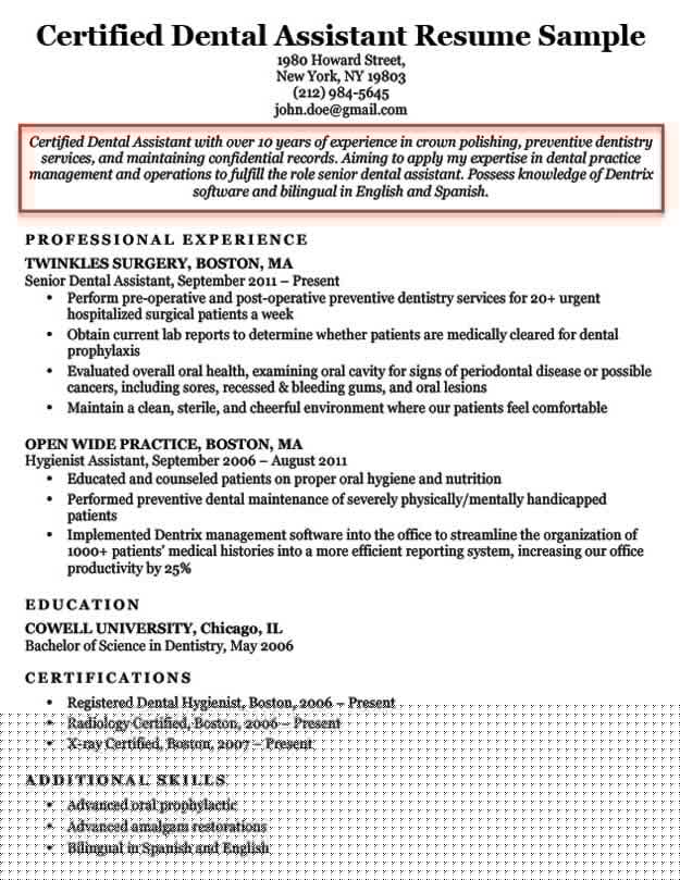 Top 10 Resume Objective Examples Student to Kickstart Your Career