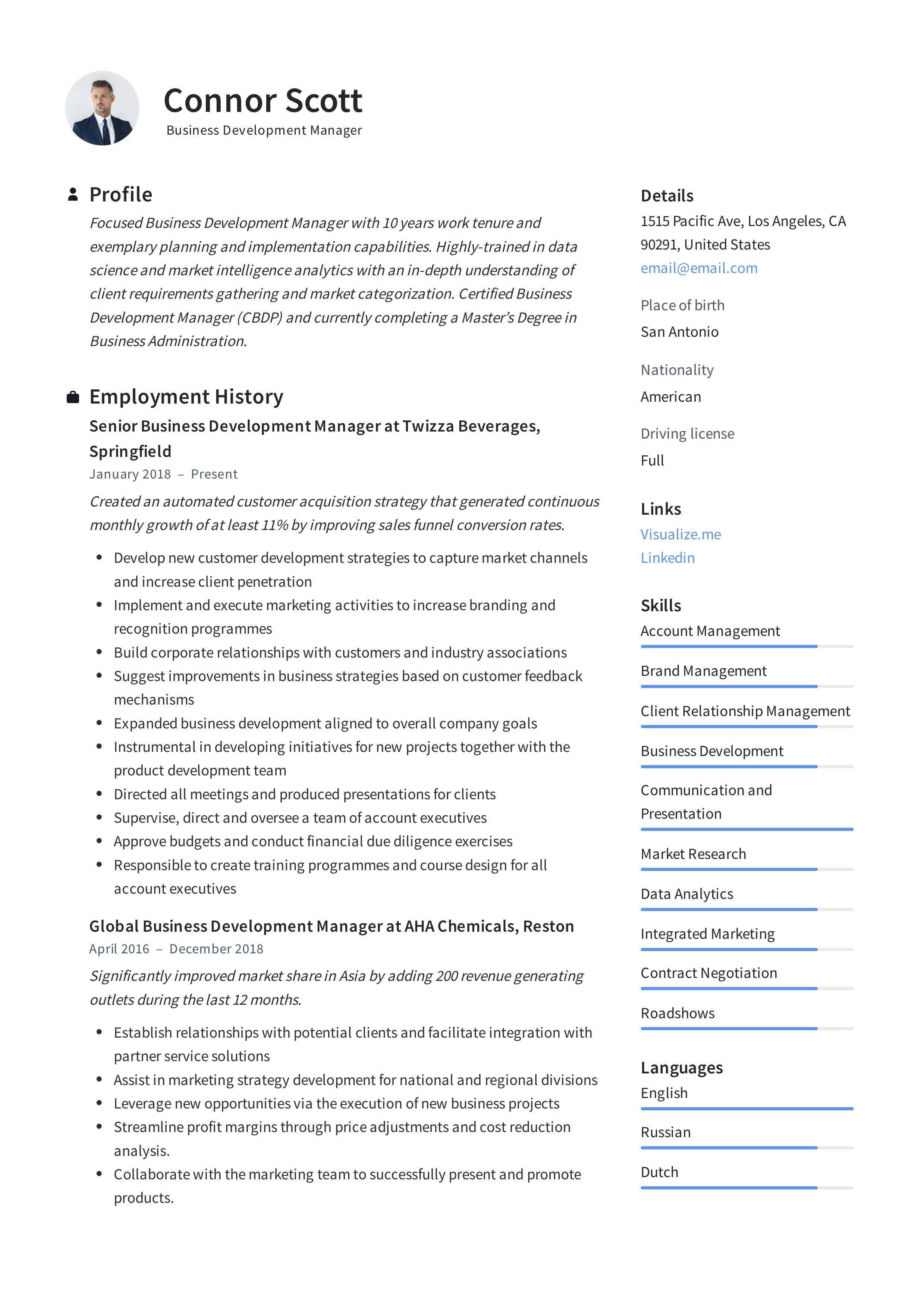 Compelling Resume Summary Examples Business Development: Crafting Your Path to Success