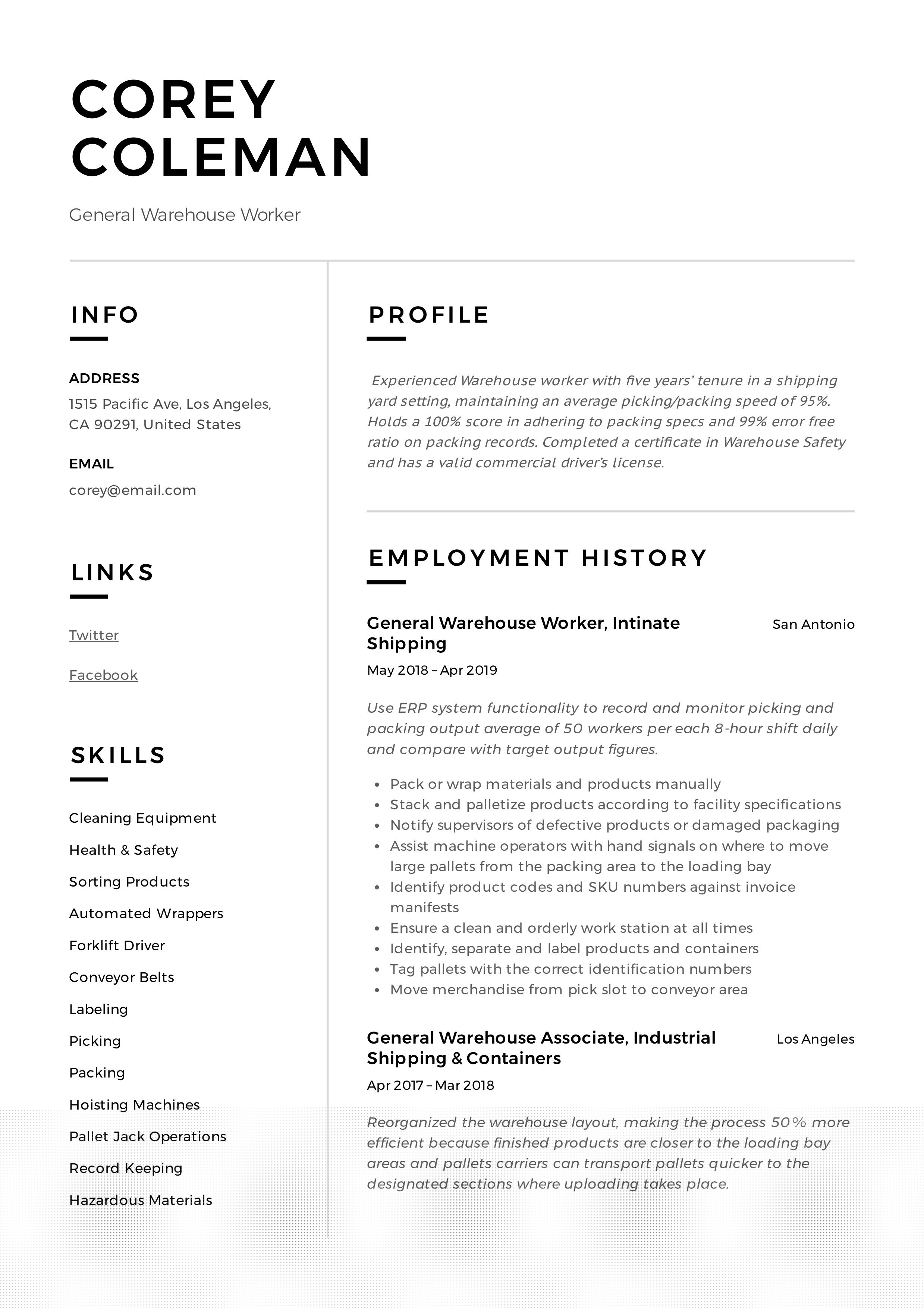 Essential Resume Summary Examples Entry Level Warehouse for Job Seekers