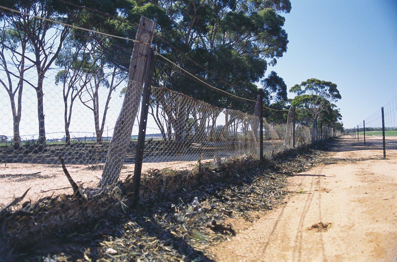 Exploring the Rуљsumуљ Complet Rabbit Proof Fence: A Comprehensive Guide