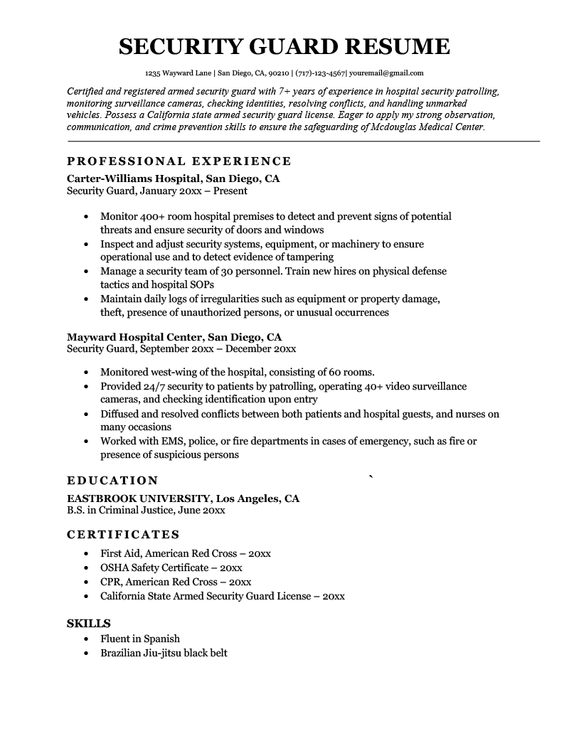 Essential Tips and Guidelines for Crafting a Strong Summary For Resume Security
