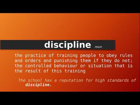 Understanding What Does Discipline Mean On A Resume: Key Insights and Tips