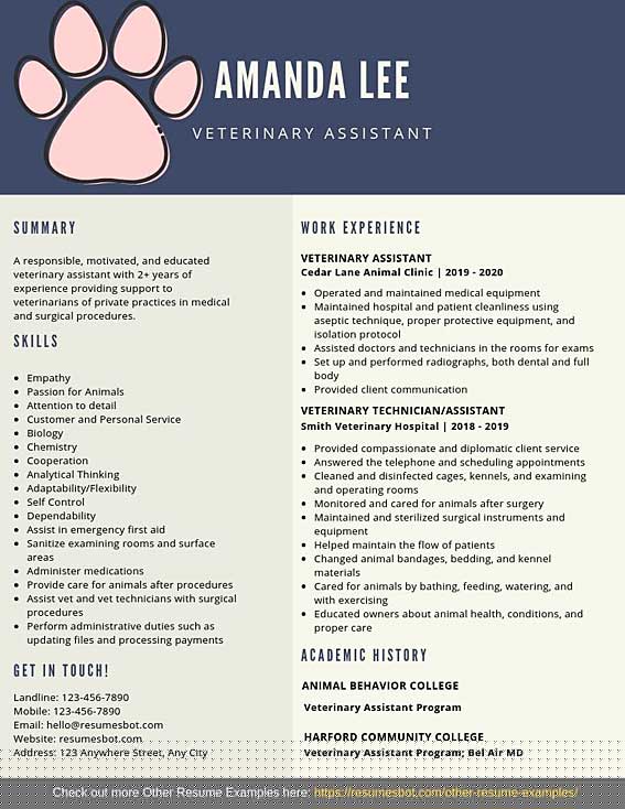 Essential Skills and Qualifications: What To Put On A Veterinary Assistant Resume
